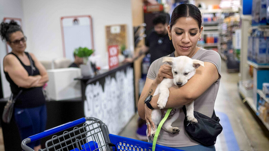 Los Angeles, CA – July 07: Jamilet Ramos holds her puppy Canelo as puppy Rocky waits in a shopping cart at the Community Animal Medicine Project low-cost